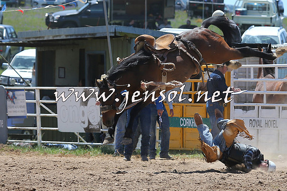 BungendoreRodeo2014_0989