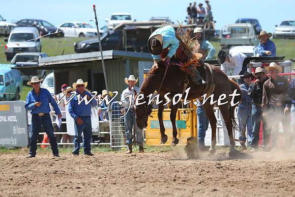 BungendoreRodeo2014_1642