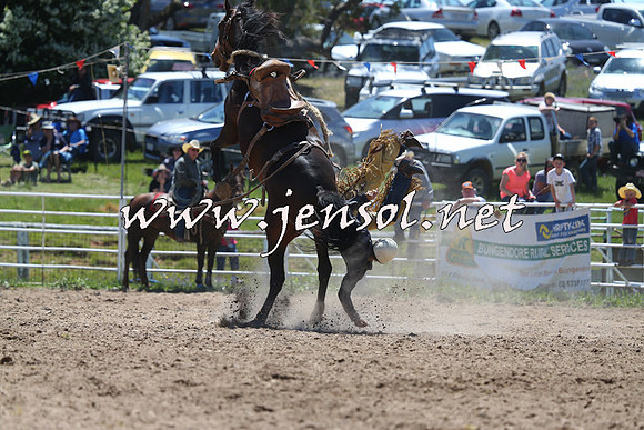 BungendoreRodeo2014_1072