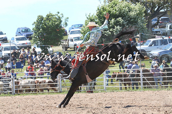 BungendoreRodeo2014_1734