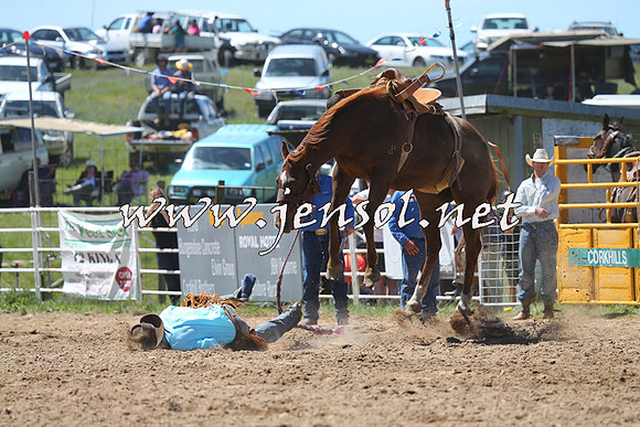 BungendoreRodeo2014_1651