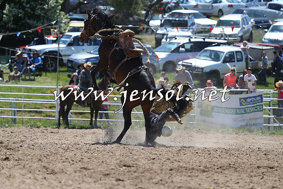 BungendoreRodeo2014_1069