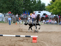 GundagaiGiddyup2013_1D_2114