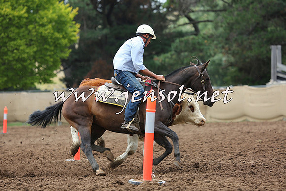 TaralgaCampdraftSun_1124