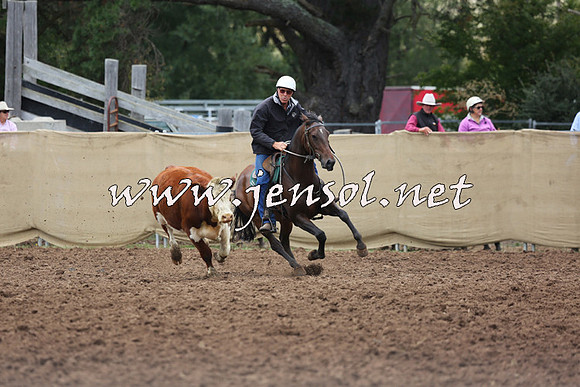 TaralgaCampdraftSun_0986