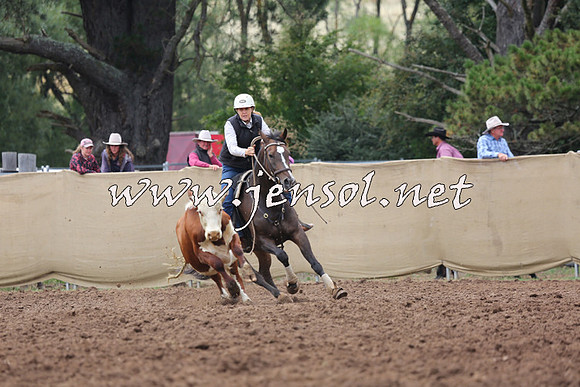 TaralgaCampdraftSun_1043