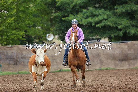 TaralgaCampdraftSun_1172