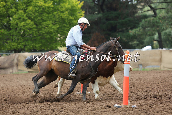 TaralgaCampdraftSun_1125
