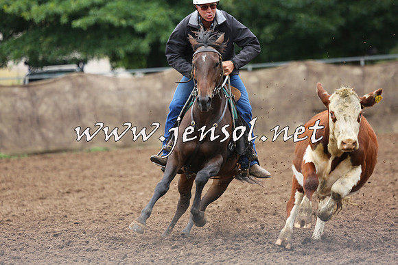 TaralgaCampdraftSun_0989