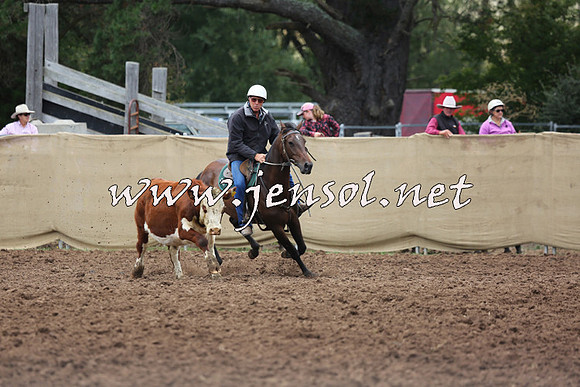 TaralgaCampdraftSun_0984