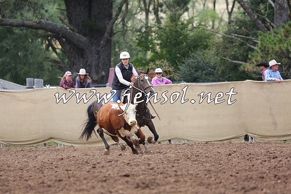 TaralgaCampdraftSun_1042
