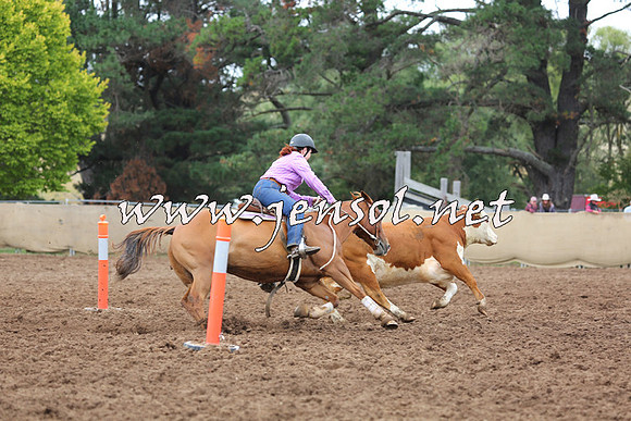 TaralgaCampdraftSun_1175