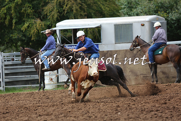 TaralgaCampdraftSun_1077