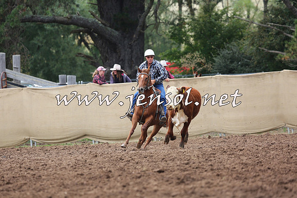 TaralgaCampdraftSun_1127