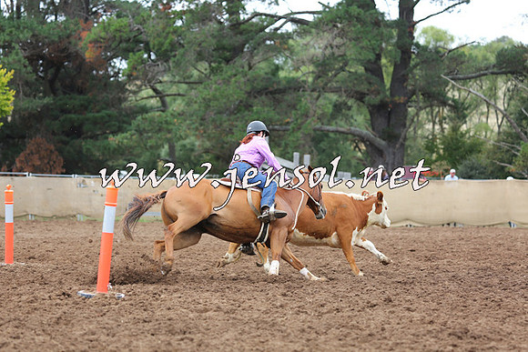 TaralgaCampdraftSun_1173