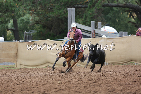 TaralgaCampdraftSun_1081