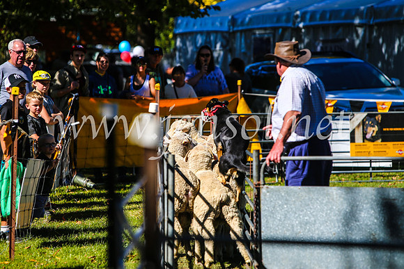 BathurstShow2017Sat_2609
