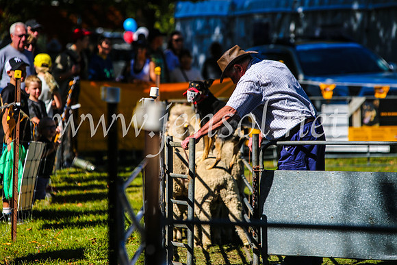 BathurstShow2017Sat_2612
