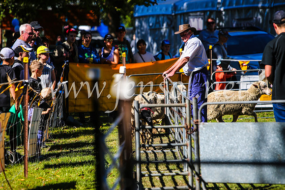 BathurstShow2017Sat_2620