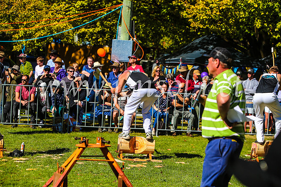 BathurstShow2017Sat_2601