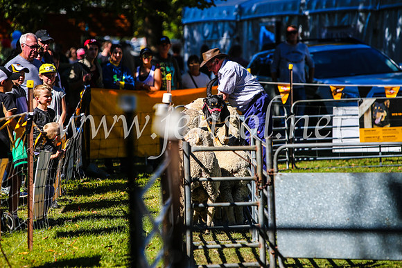 BathurstShow2017Sat_2615