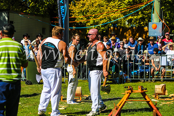 BathurstShow2017Sat_2604