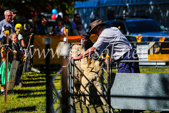 BathurstShow2017Sat_2611
