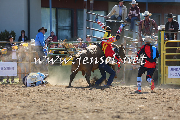 JindabyneRodeo2015_2277
