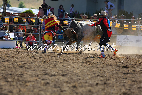 JindabyneRodeo2015_2374