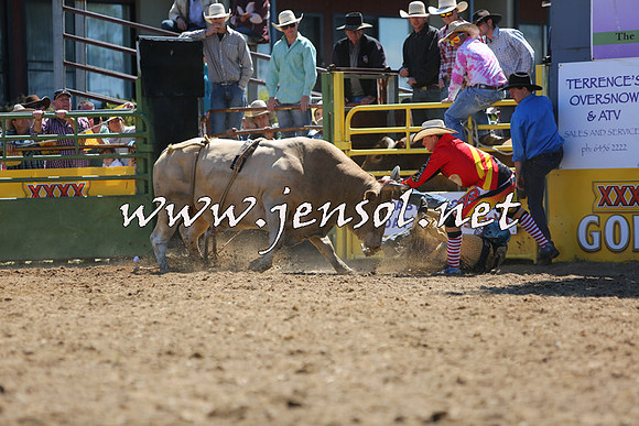 JindabyneRodeo2015_1566