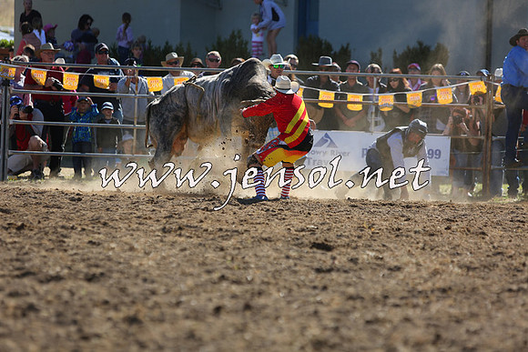 JindabyneRodeo2015_2371