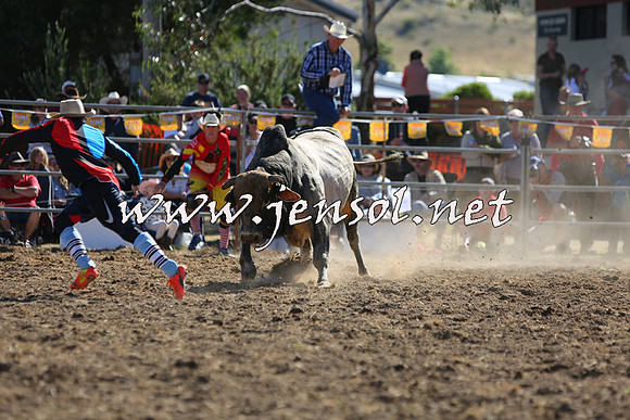 JindabyneRodeo2015_2377