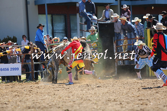 JindabyneRodeo2015_1701