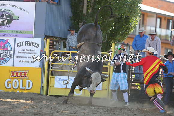 JindabyneRodeo2015_2327