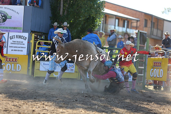 JindabyneRodeo2015_2469