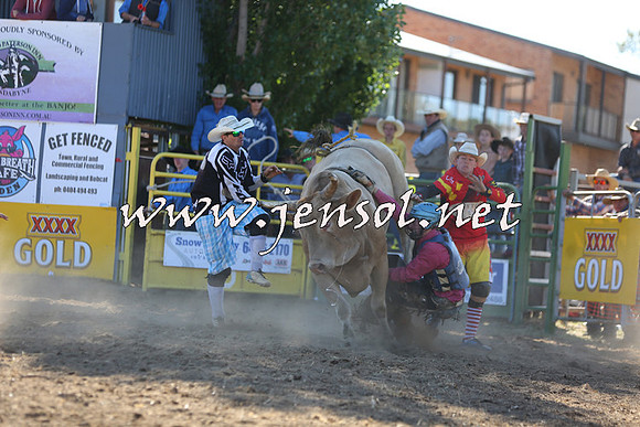 JindabyneRodeo2015_2468