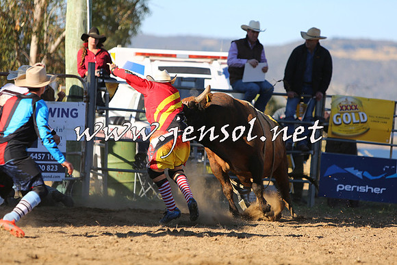 JindabyneRodeo2015_2981