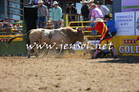 JindabyneRodeo2015_1568
