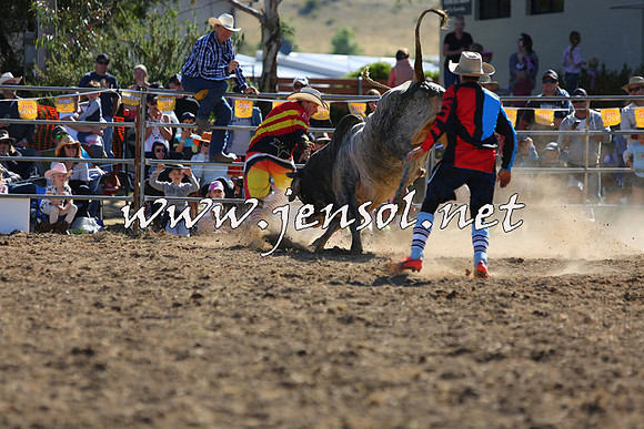 JindabyneRodeo2015_2373