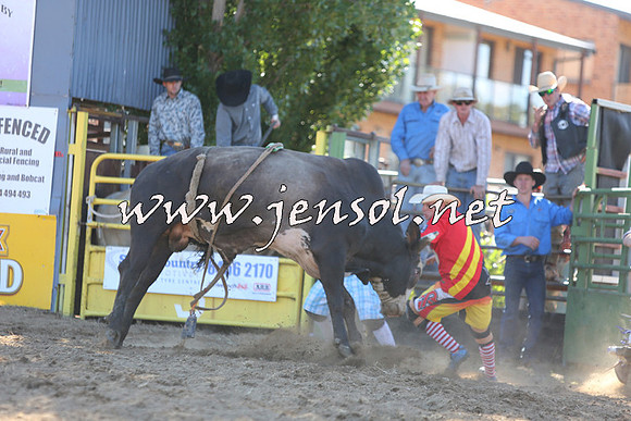 JindabyneRodeo2015_2326