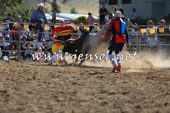 JindabyneRodeo2015_2375