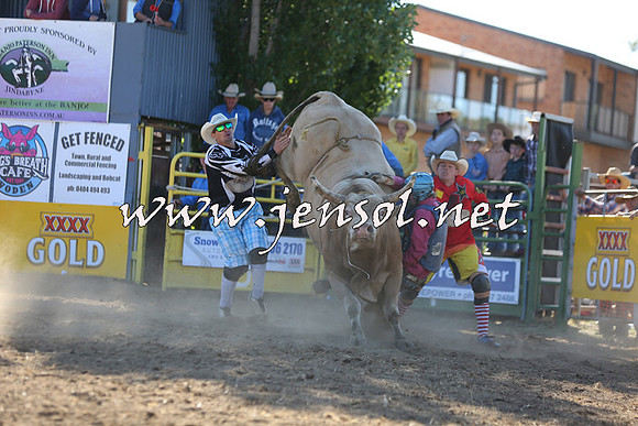 JindabyneRodeo2015_2473