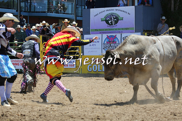 JindabyneRodeo2015_1041