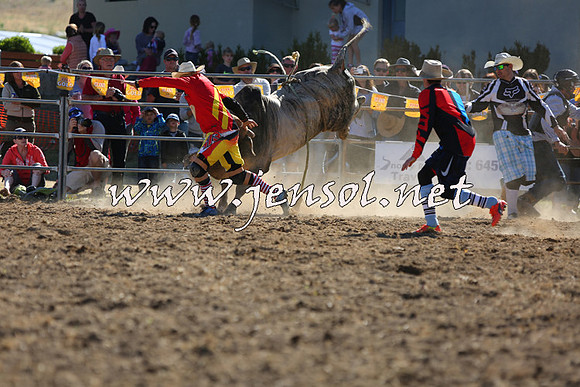 JindabyneRodeo2015_2365