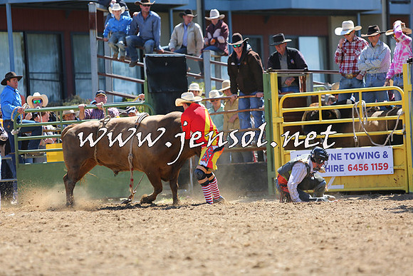 JindabyneRodeo2015_1616