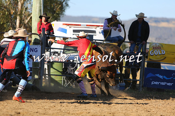 JindabyneRodeo2015_2984
