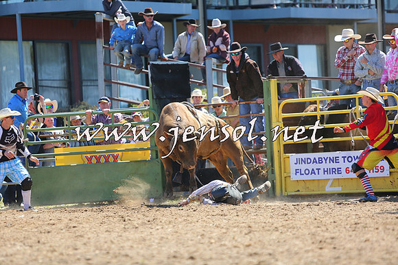 JindabyneRodeo2015_1608