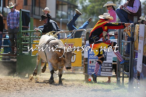 JindabyneRodeo2015_1595