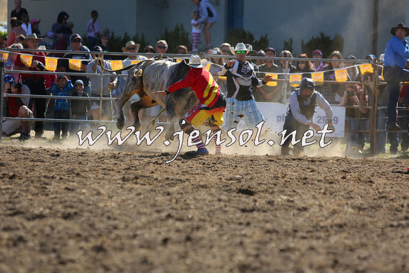 JindabyneRodeo2015_2369