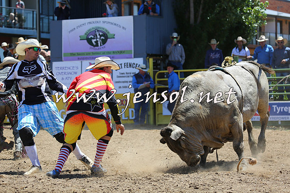 JindabyneRodeo2015_1040